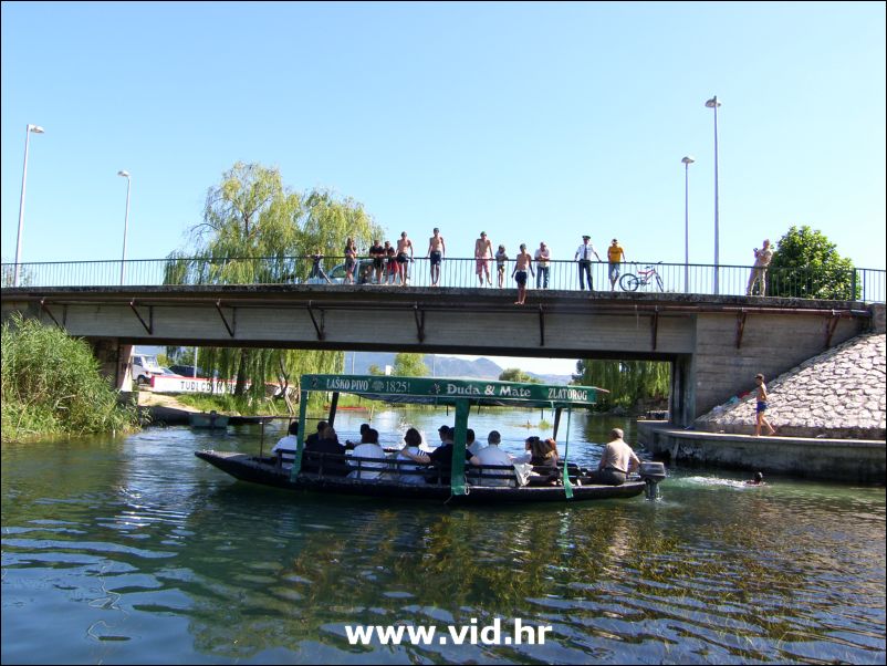 Mesic u Vidu (36)